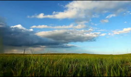 草原风景视频,碧波荡漾的绿色画卷